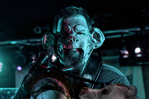 HOG MEETS FROG - Novo single "The Urbanizer"
