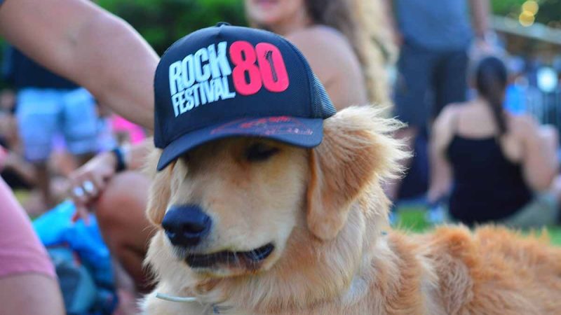 É neste final de semana: Rock 80 Festival promove edição na Praia do Flamengo