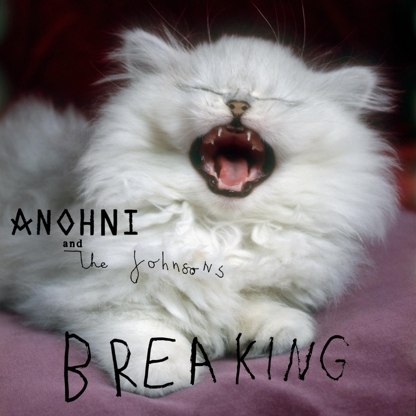 ANOHNI lança o single “Breaking”